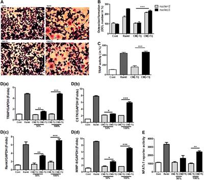 Sclerostin-Mediated Impaired Osteogenesis by Fibroblast-Like Synoviocytes in the Particle-Induced Osteolysis Model